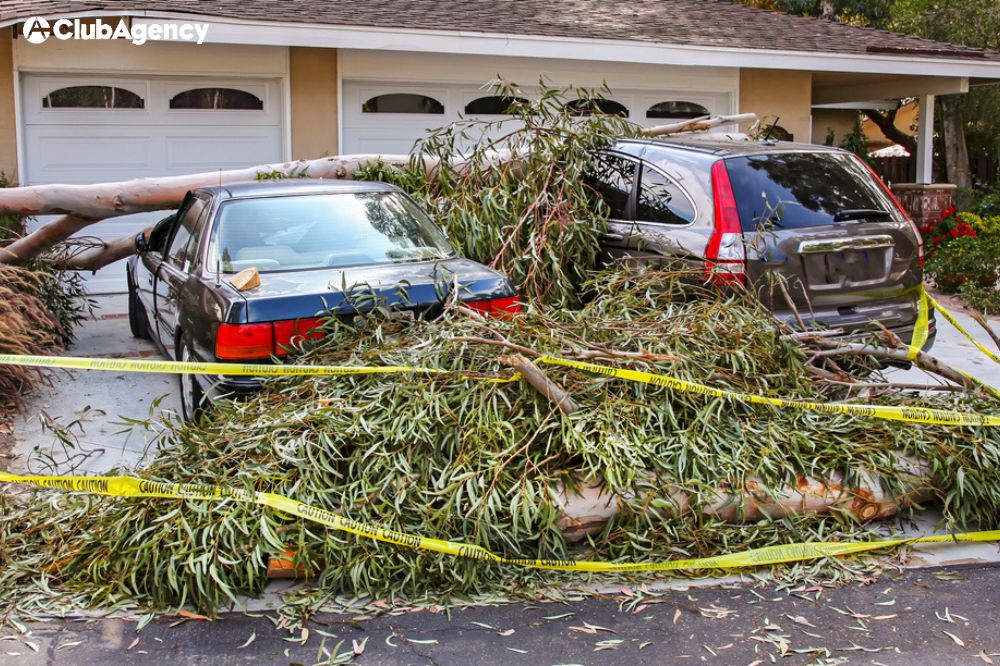 Does Homeowners Insurance Cover Car Damage? What You Need to Know