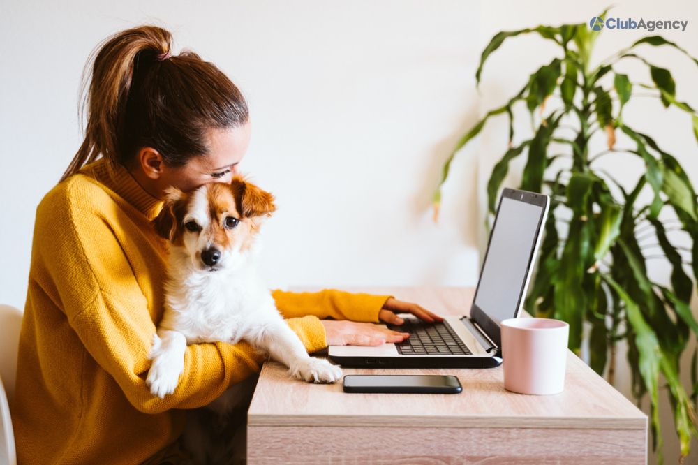 Work from home with pets