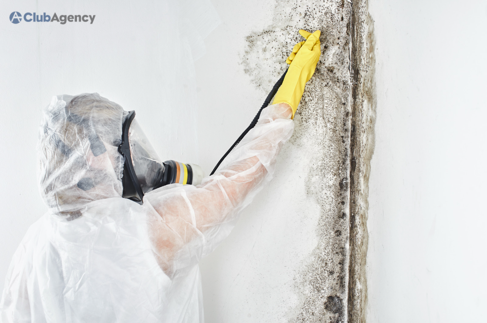 Mold protection coverage in homeowners insurance