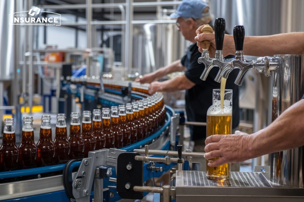 The Basics of Craft Brewery Insurance: What You Need to Know 