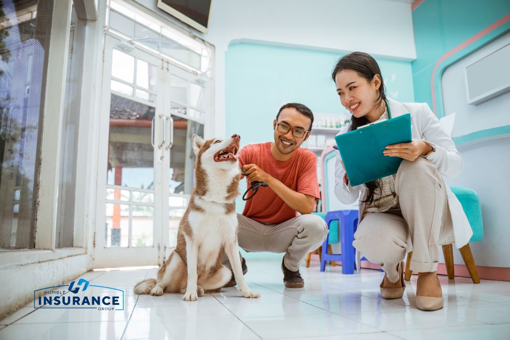 What Happens If Pet Medical Records Are Hacked at Your Clinic?