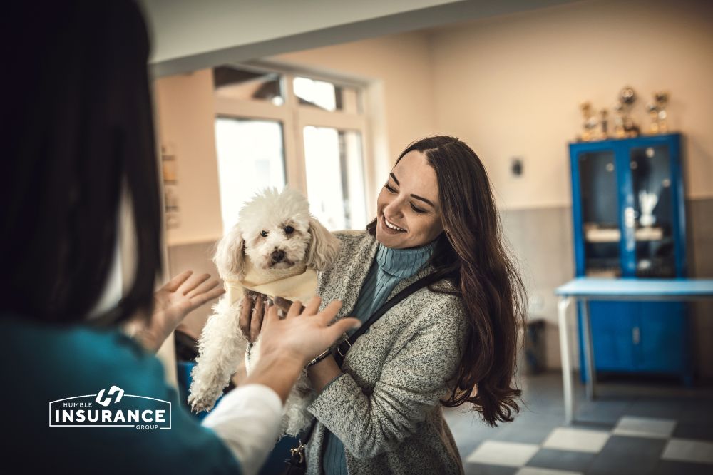 How Veterinary Clinic Insurance Works Together with Pet Insurance Claims