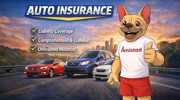 Why Choose Amistad Insurance?