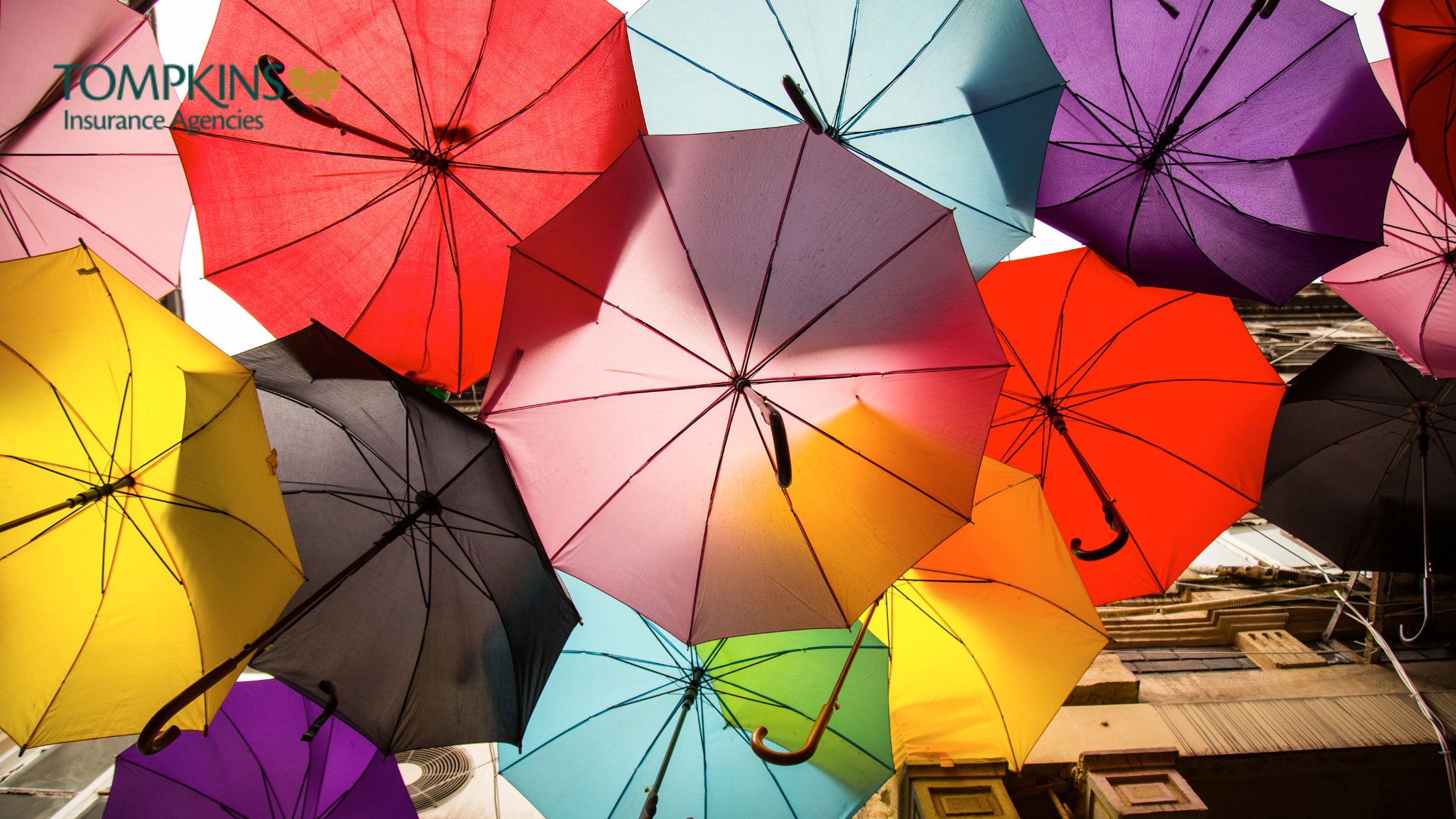 Exploring the Coverage of an Umbrella Insurance Policy