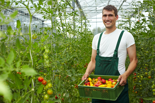 How to Integrate Locally Sourced Foods onto the Menu