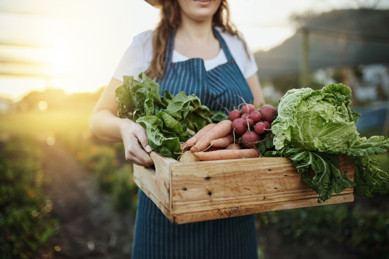 Can Local Farmers Impact a Restaurant's Popularity?