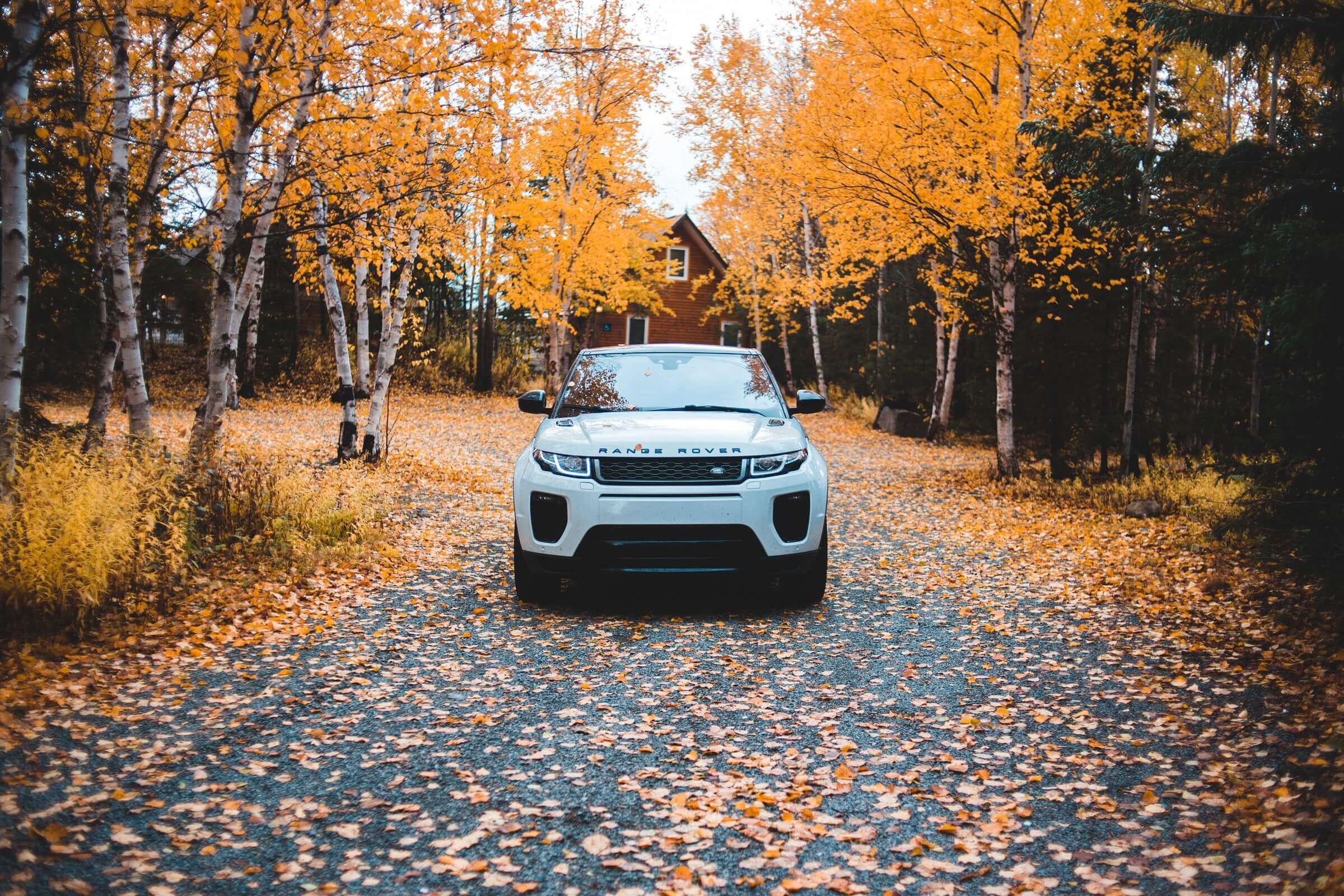 Auto Insurance