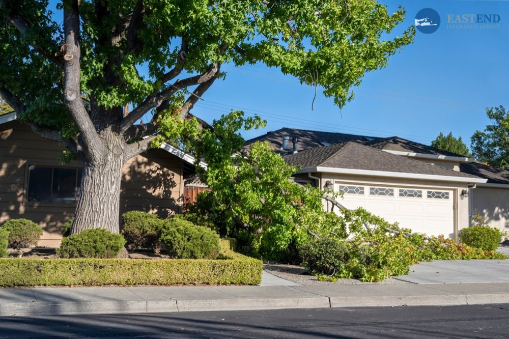 Does Your Home Insurance Protect You From Tree Removal Costs?