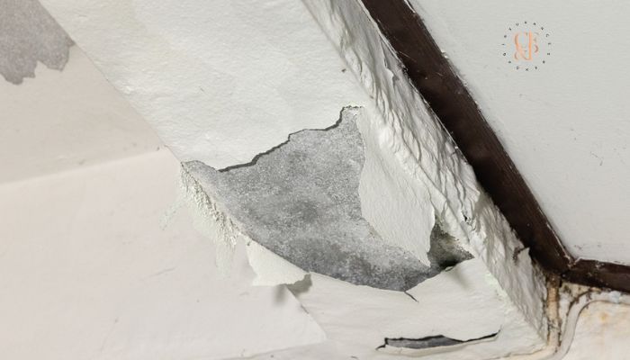 Homeowners Insurance: Does It Covers Slab Leaks? 