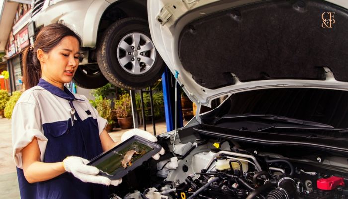 Insurance for rodent damage in car