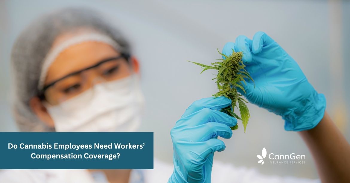 Do Cannabis Employees Need Workers’ Compensation Coverage? 