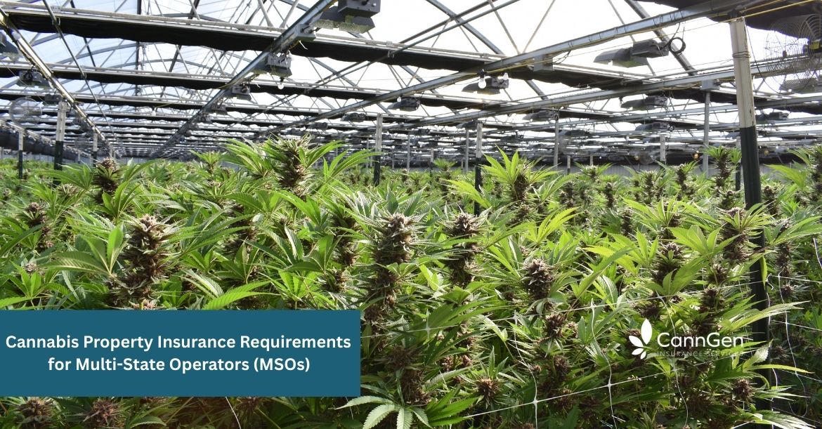 Cannabis Property Insurance Requirements for Multi-State Operators (MSOs)