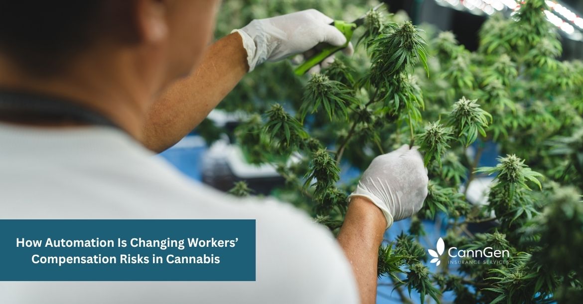 How Automation Is Changing Workers’ Compensation Risks in Cannabis 