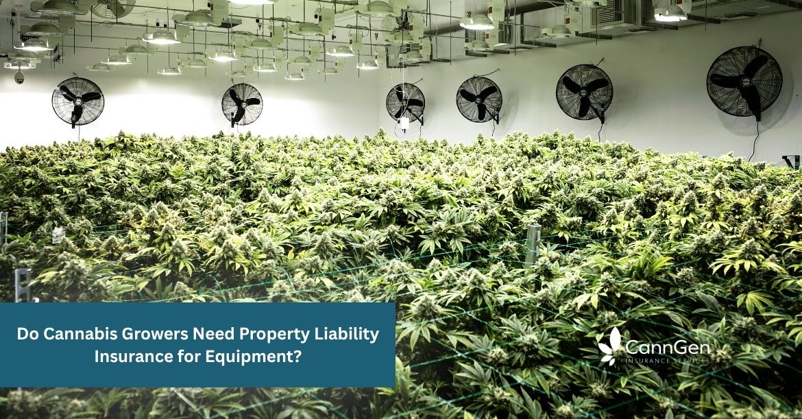 Do Cannabis Growers Need Property Liability Insurance for Equipment?