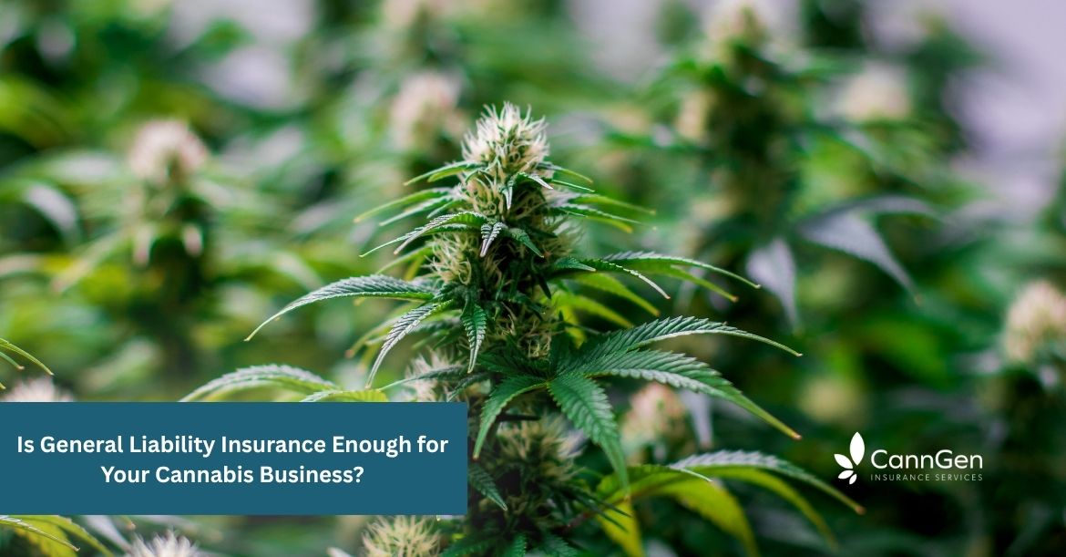 Is General Liability Insurance Enough for Your Cannabis Business?
