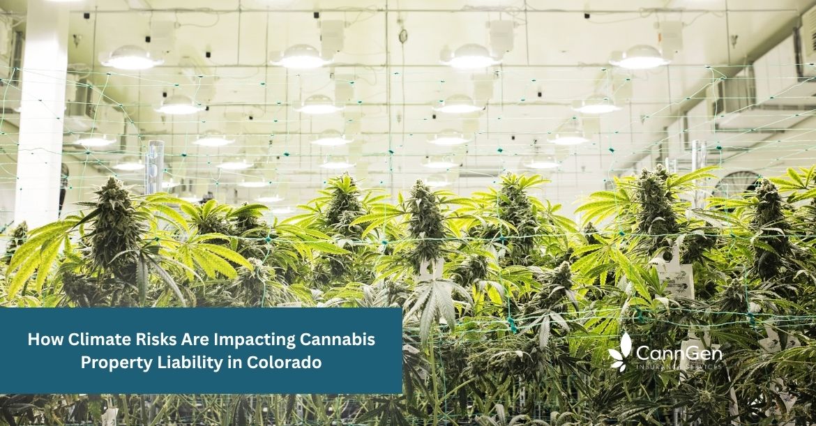 How Climate Risks Are Impacting Cannabis Property Liability in Colorado