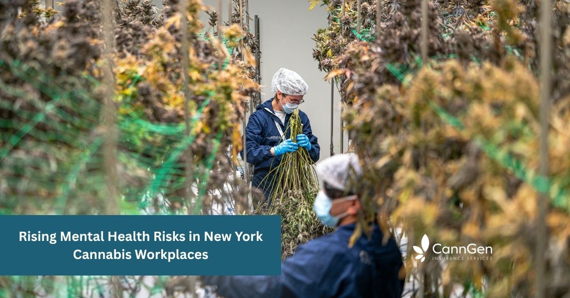 Mental Health Risks in NY Cannabis Workplaces