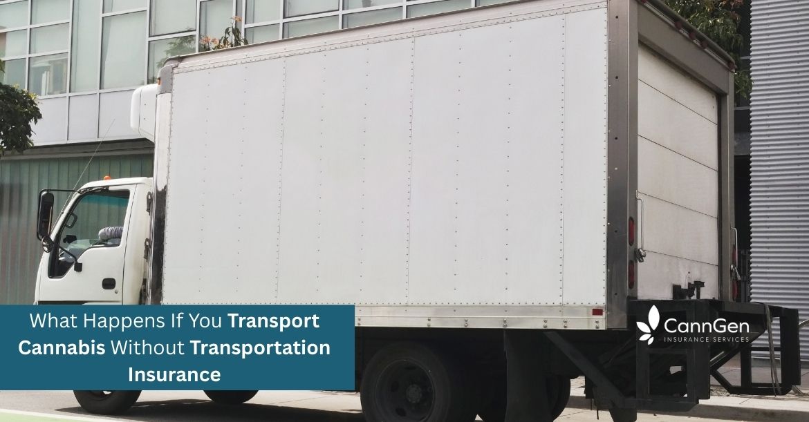 What Happens If You Transport Cannabis Without Transportation Insurance