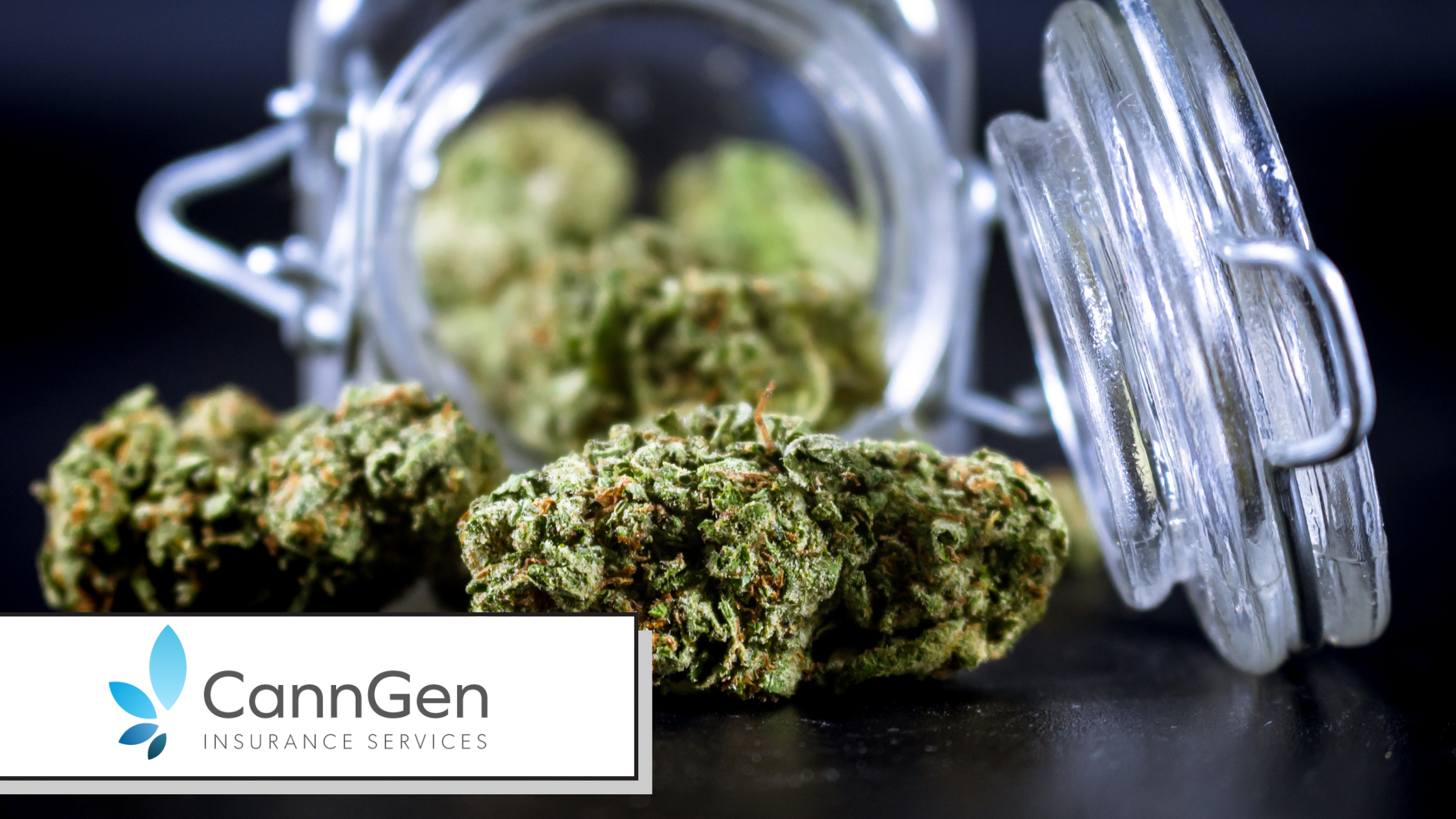Wholesale Cannabis Distributor Insurance: Covering the Middle of the Supply Chain