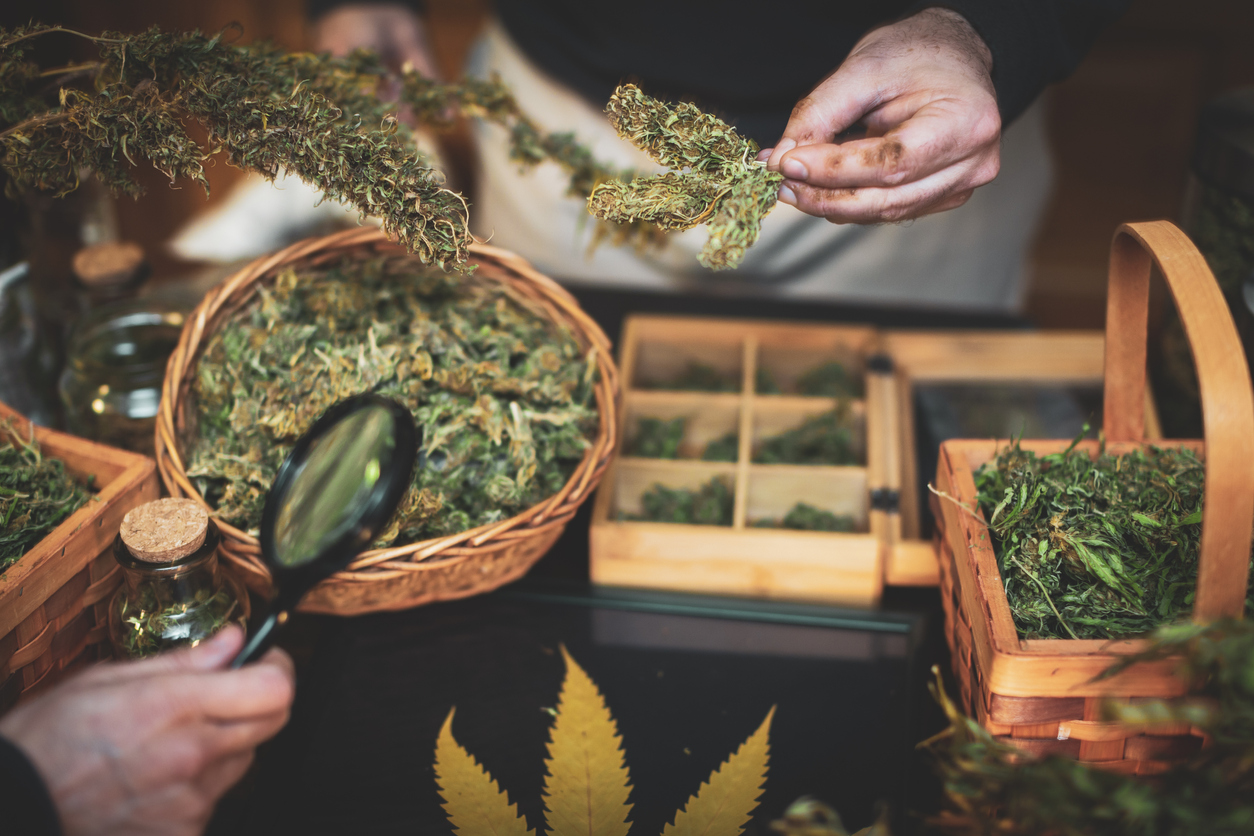 What Features Make a Cannabis Retailer Reputable?