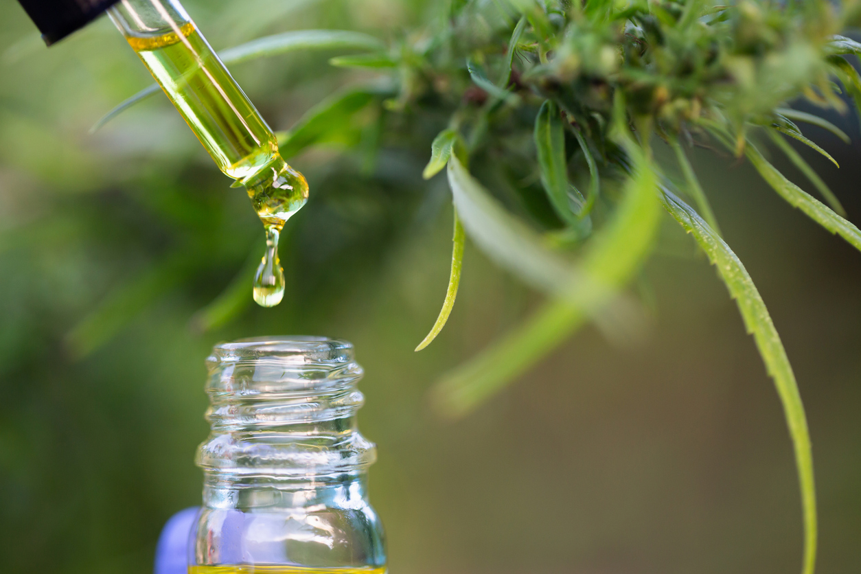 Cannabinoid Distillation Tips for Maximization