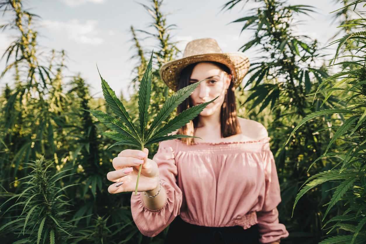 Considering a Hemp Operation? Here’s How to Start