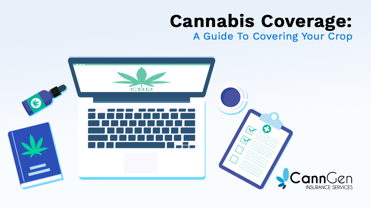 Cannabis Insurance: A Guide to Covering Your Crop