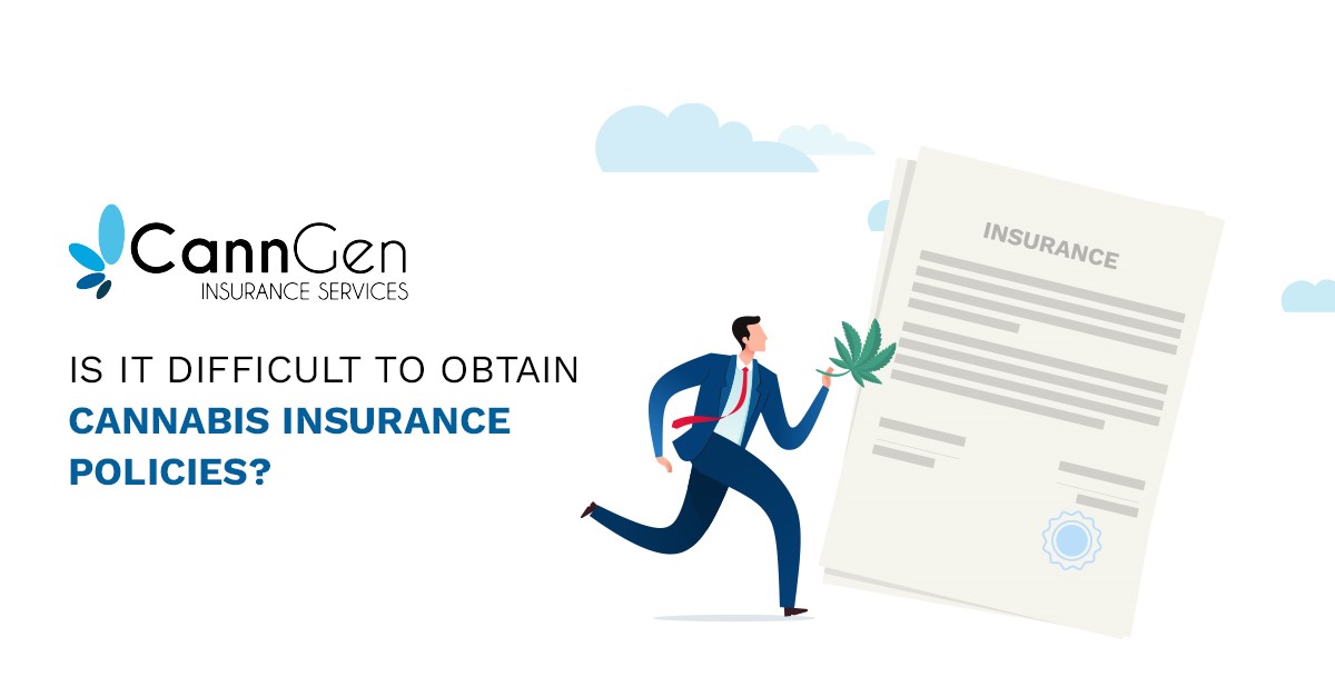Is It Difficult to Obtain Cannabis Insurance Policies?