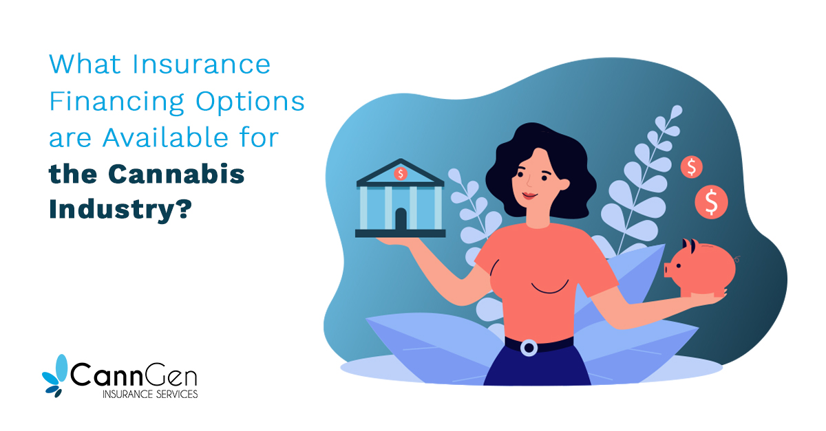 What Insurance Financing Options Are Available for the Cannabis Industry?
