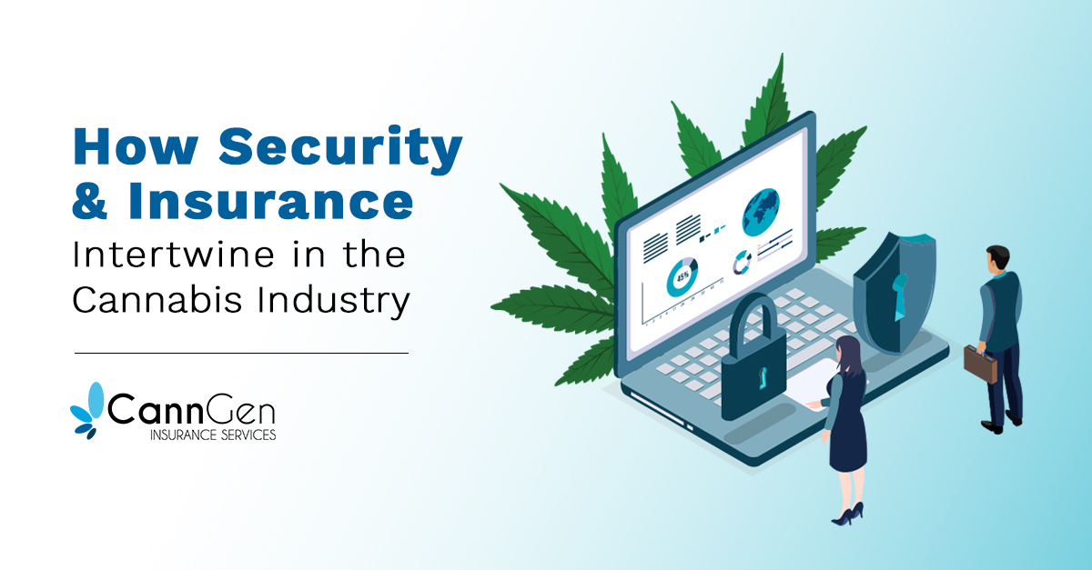 How Security and Insurance Intertwine in the Cannabis Industry