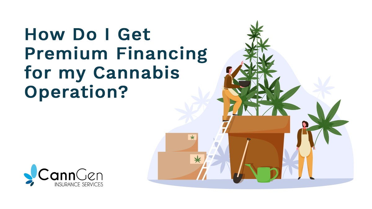 How Do I Get Premium Financing for my Cannabis Operation?