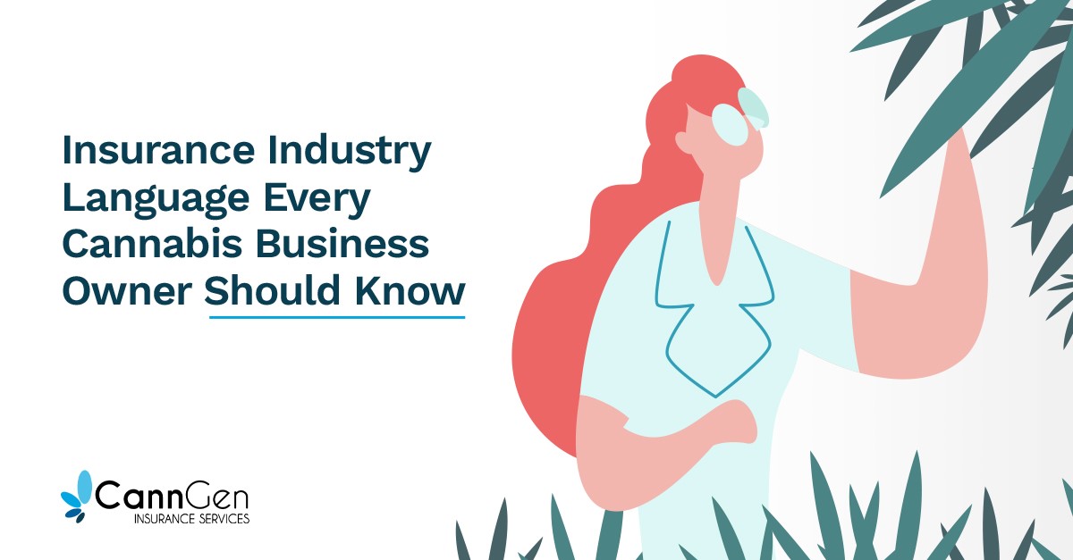 Insurance Industry Language Every Cannabis Business Owner Should Know