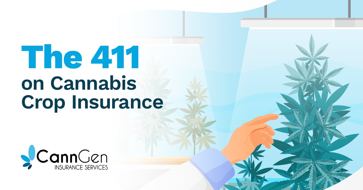 The 411 on Cannabis Crop Insurance