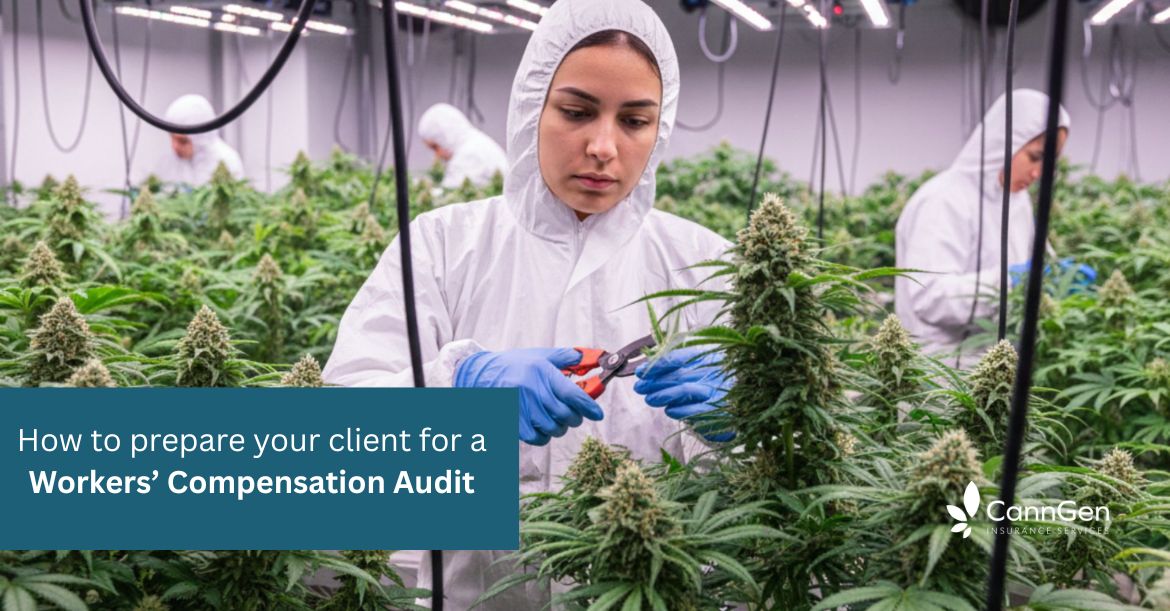 How to prepare your client for a Workers’ Compensation Audit
