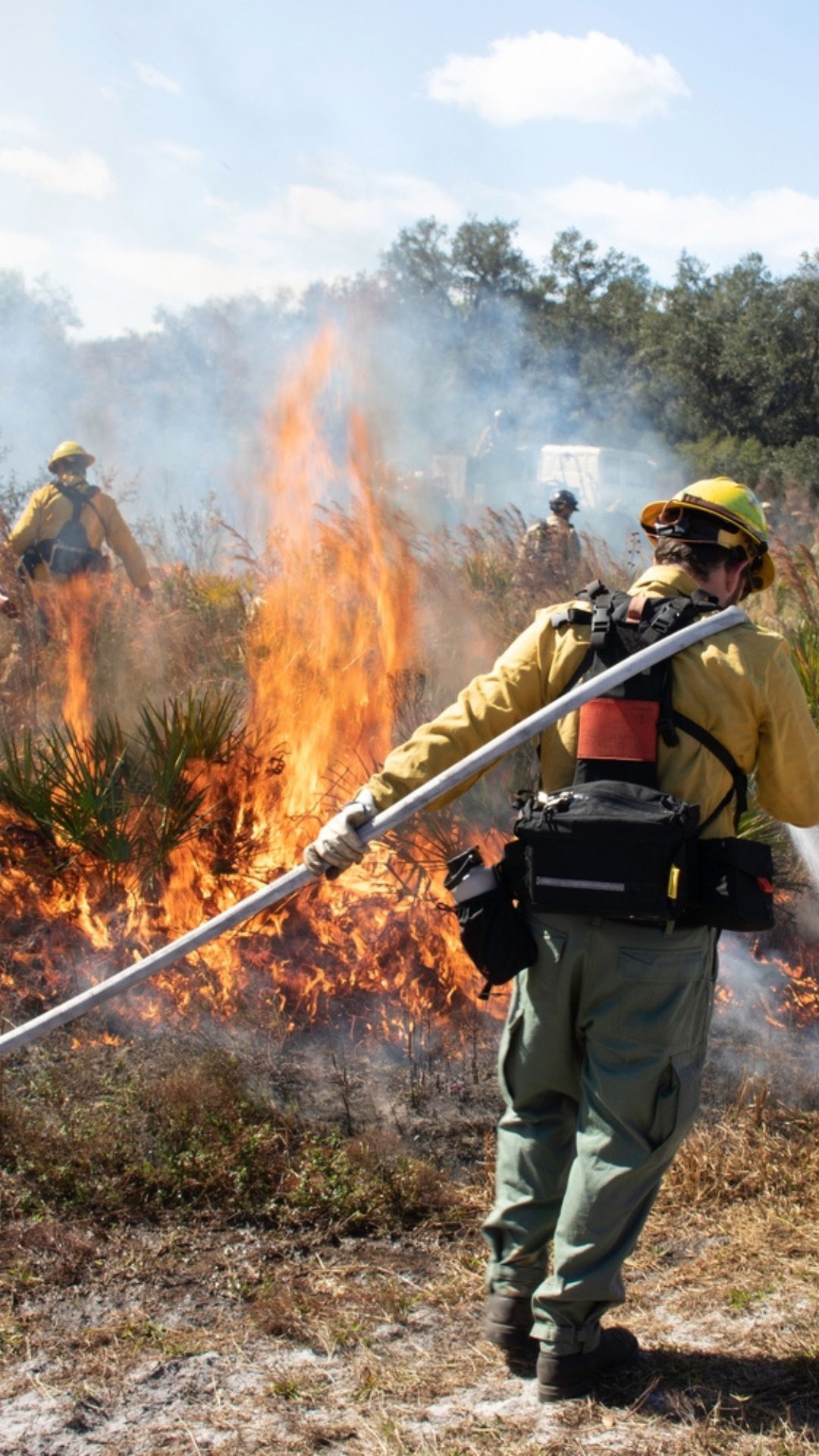 Does homeowners insurance cover wildfires? Key facts and next steps