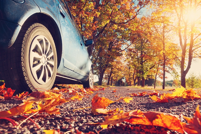 5 Lesser-Known Fall Driving Tips to Stay Safe