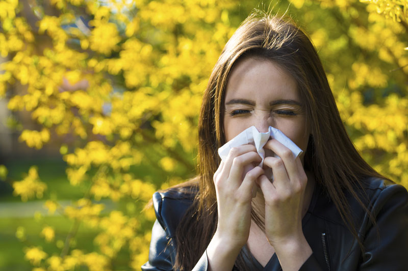 Top Tips to Survive Allergy Season