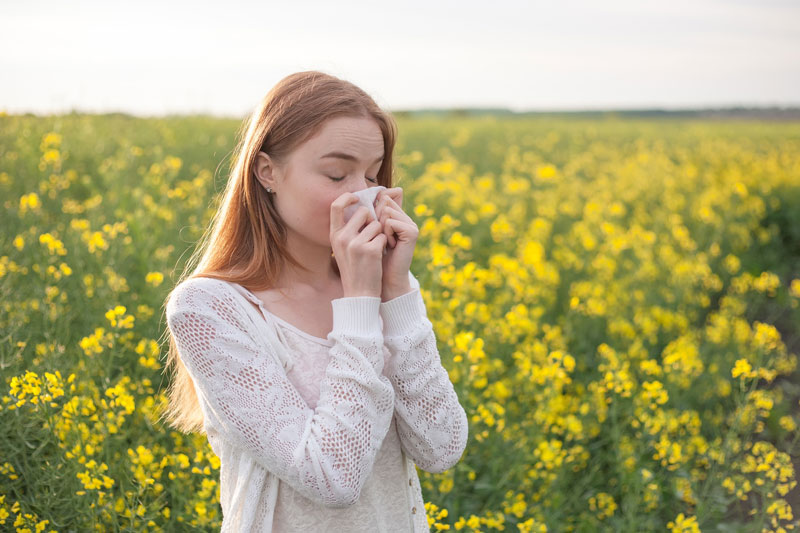 Tips for Surviving Allergy Season