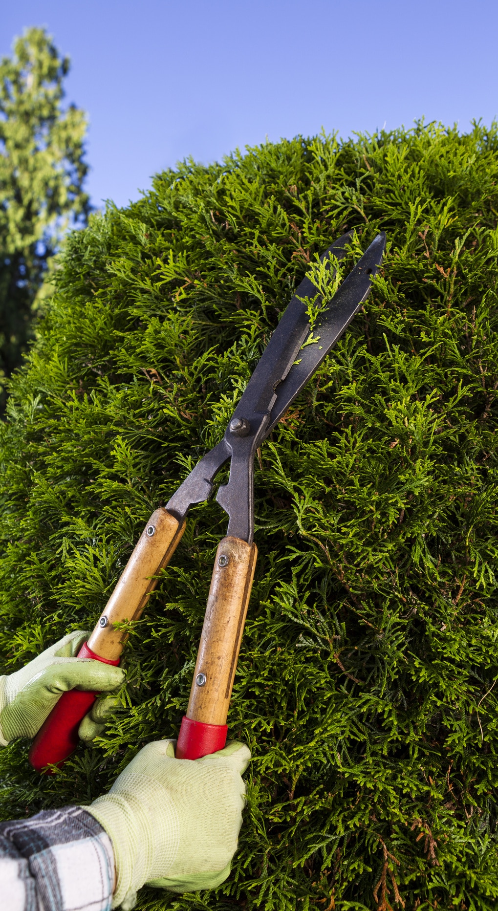 Tips to Keep your Garden Tools in Tip Top Shape