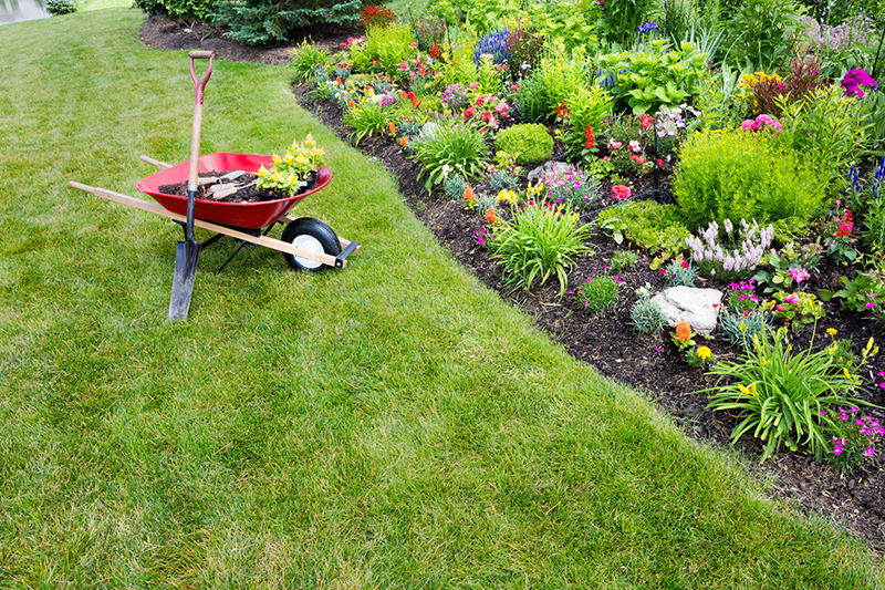 Get Your Backyard Sunshine-Ready with These Spring Gardening Tips