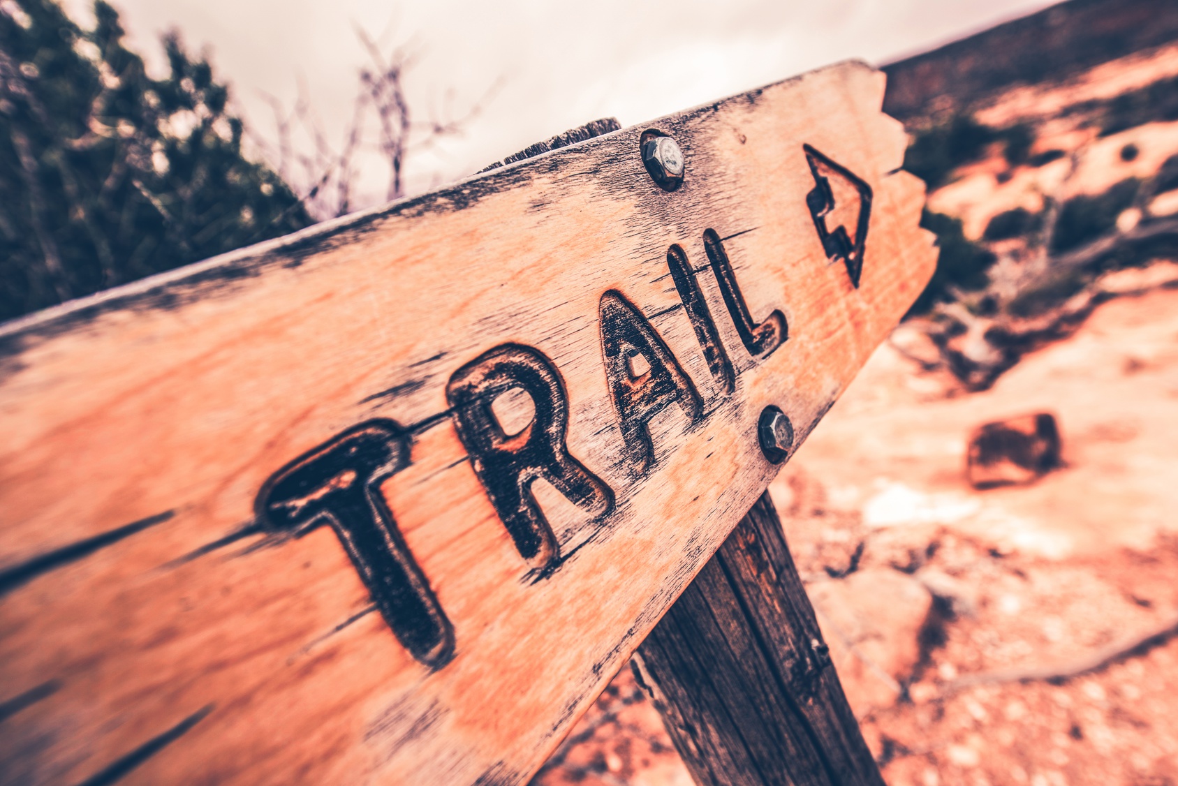 Enjoy the Season With These Hiking Trails