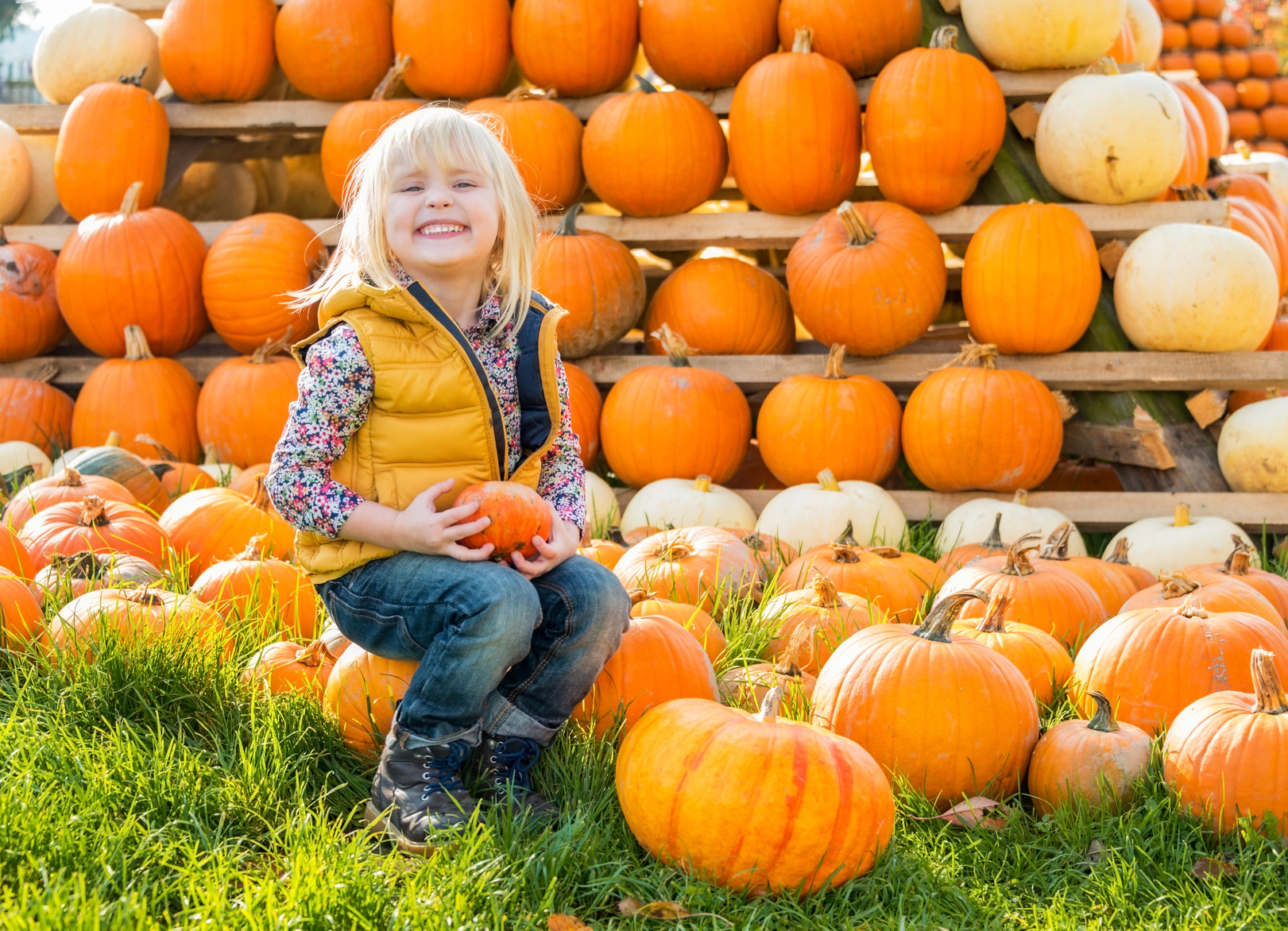 Pick The Perfect Pumpkin At These Local Pumpkin Patches