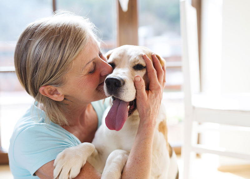 Disaster Planning for Your Pets