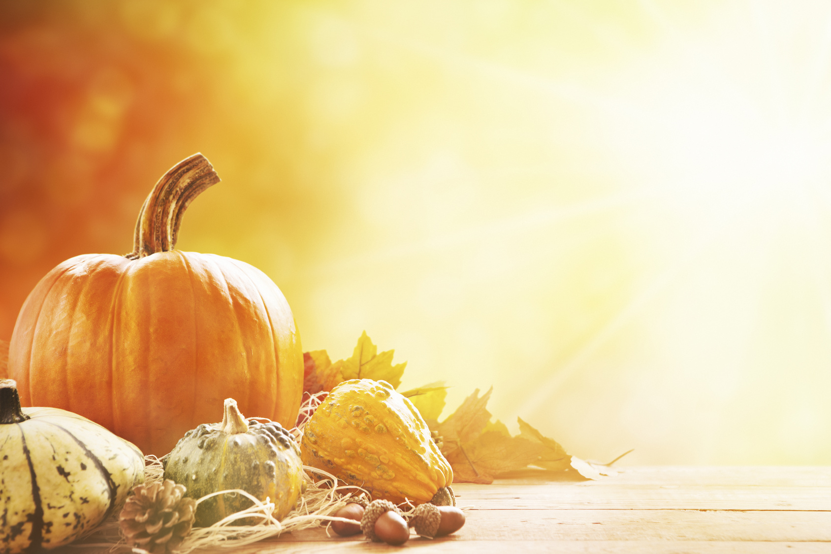 Celebrate The Start Of October With These Antioch, CA Events!