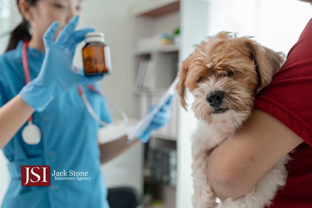 Does Your Pet Insurance Coverage Includes Prescription Drugs?