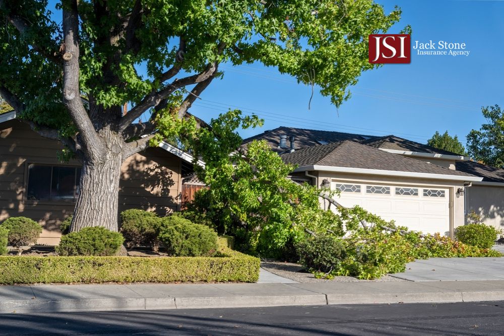 Fallen Tree Coverage: Will Your Home Insurance Cover It?