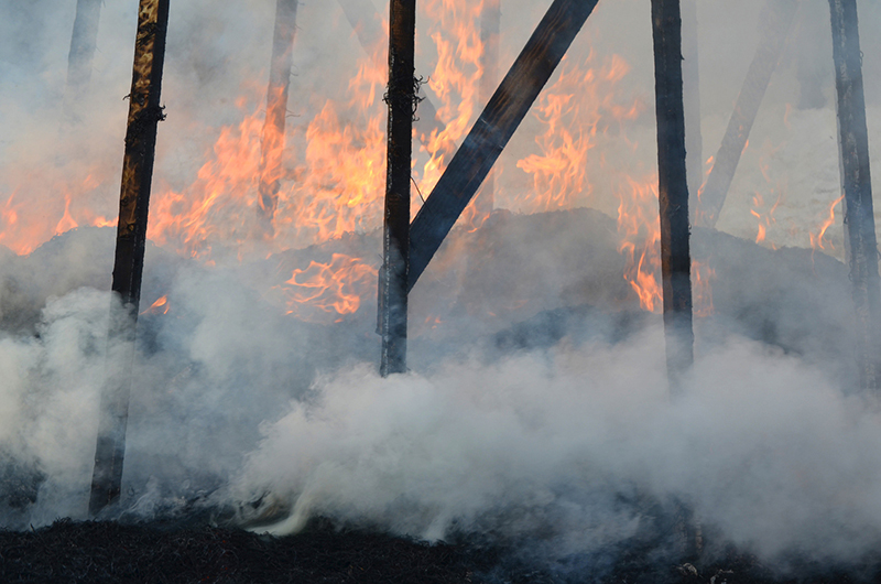 How to Minimize Your Wildfire Risk at Home