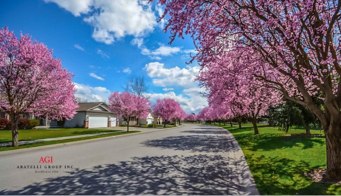 Essential Steps for a Successful Spring Home Maintenance
