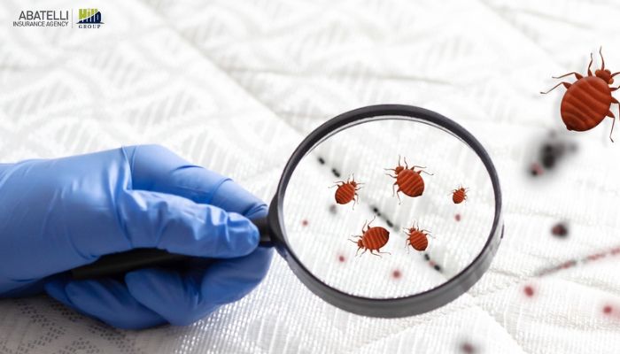 Understanding Renters Insurance Coverage for Bed Bugs