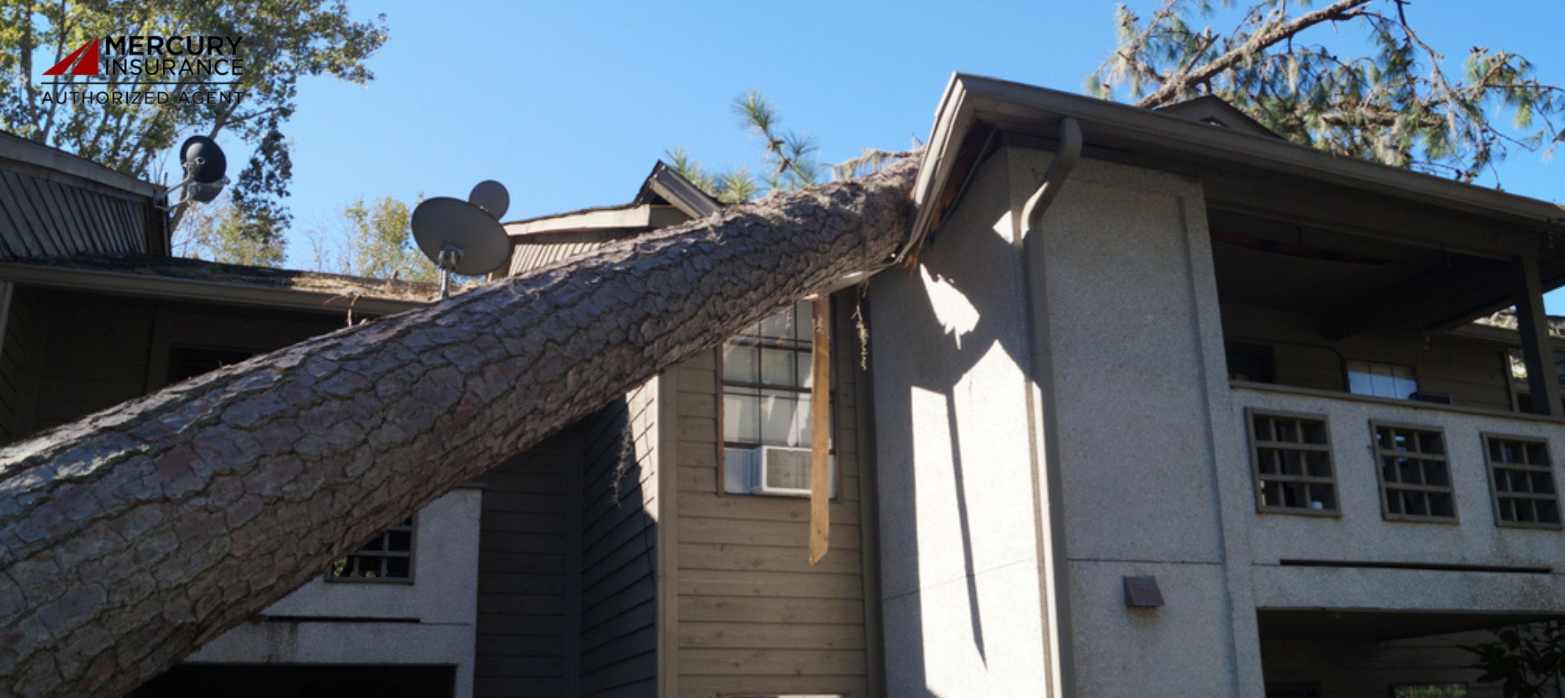 Will Your Home Insurance Cover a Fallen Tree on Your House?